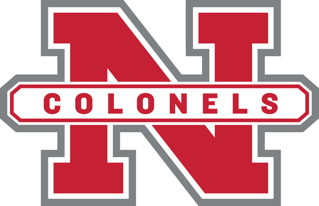 Nicholls State Colonels 2005-2008 Secondary Logo diy iron on heat transfer
